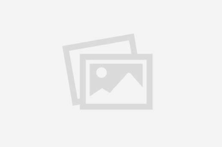 Slika 2266